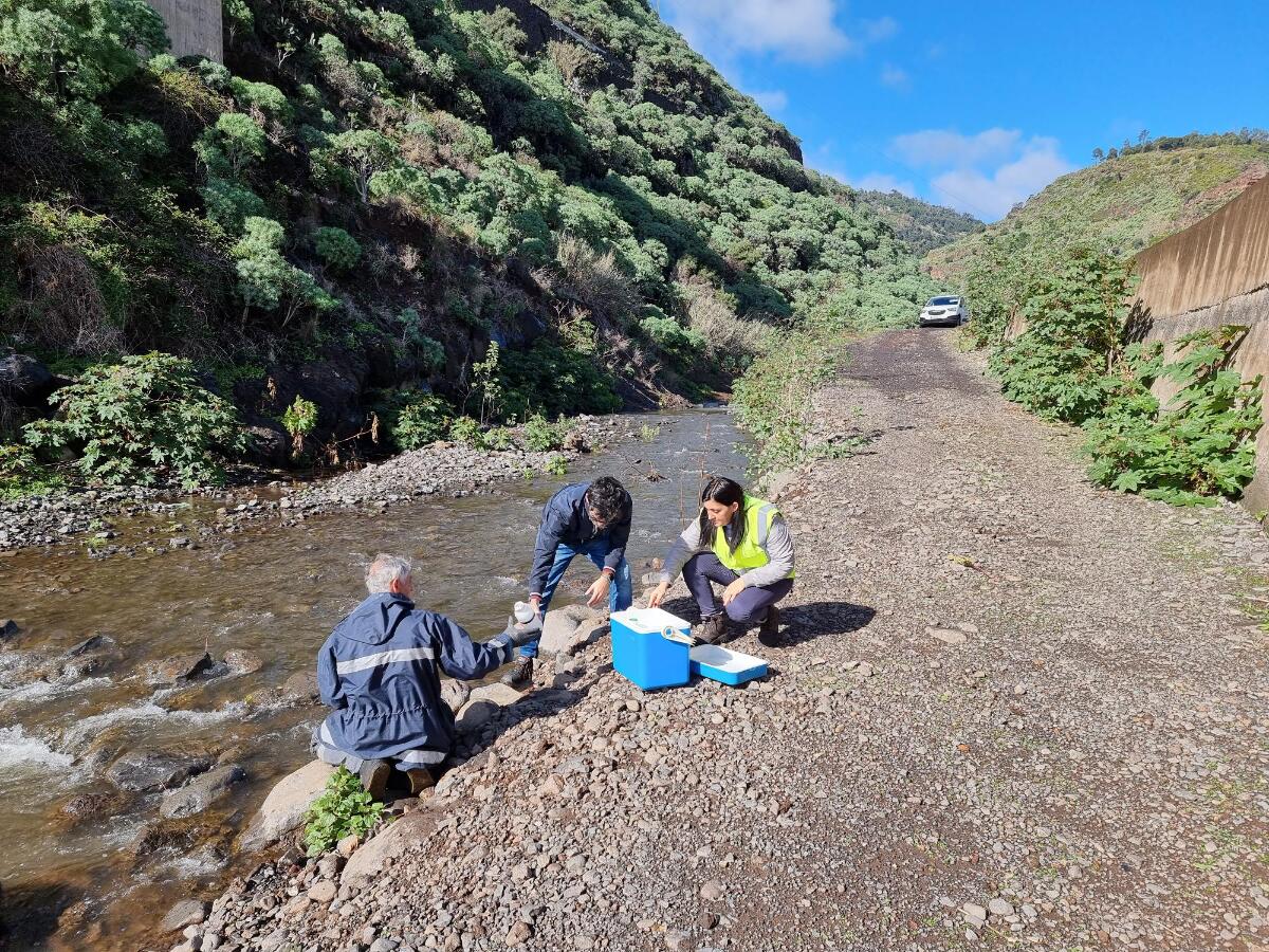 Monitorização da Qualidade da Água Superficial