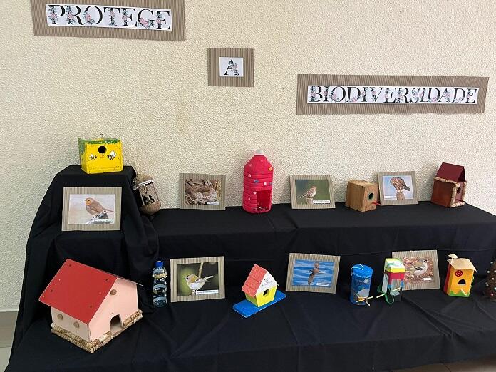 Visitas de avaliação no âmbito do Programa Eco-Escolas