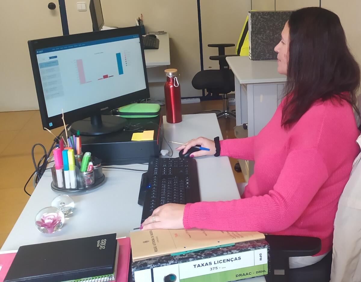 Gestão de licenças e concessões de utilização do Domínio Publico Marítimo (DPM) e respetivas taxas