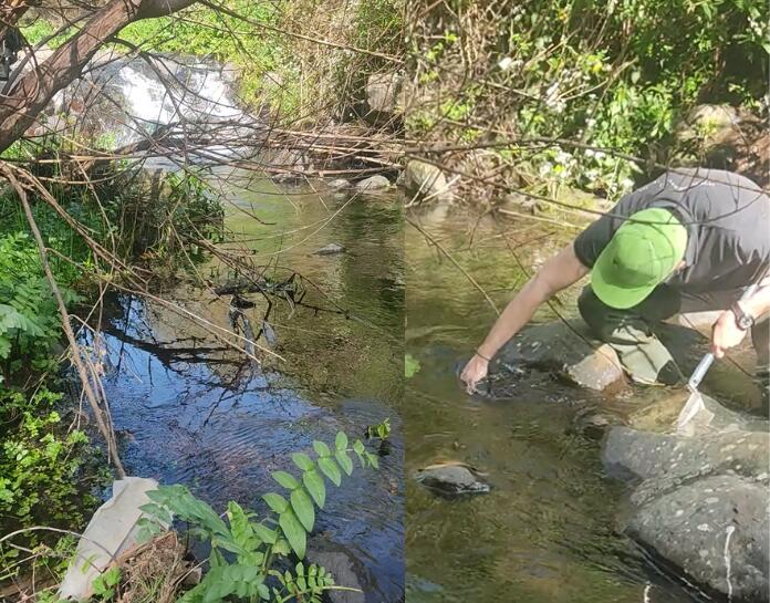 Programa de monitorização das massas de águas interiores