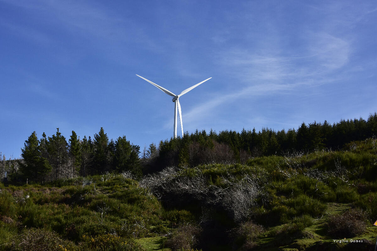 Estratégia CLIMA-Madeira