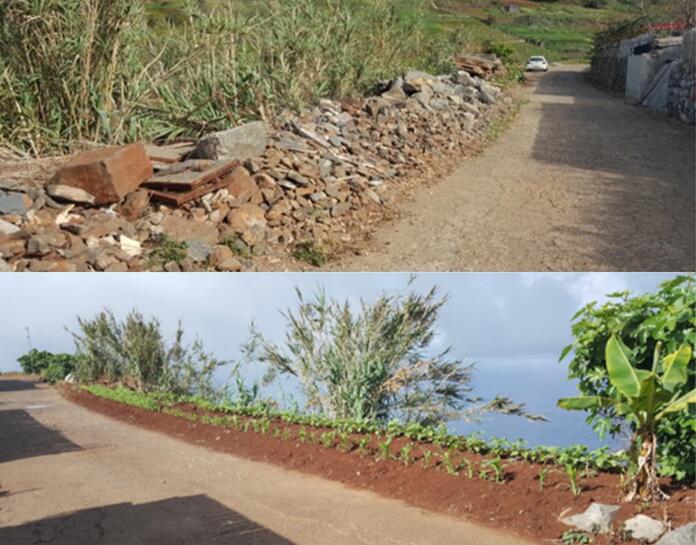 Inspeção ambiental 