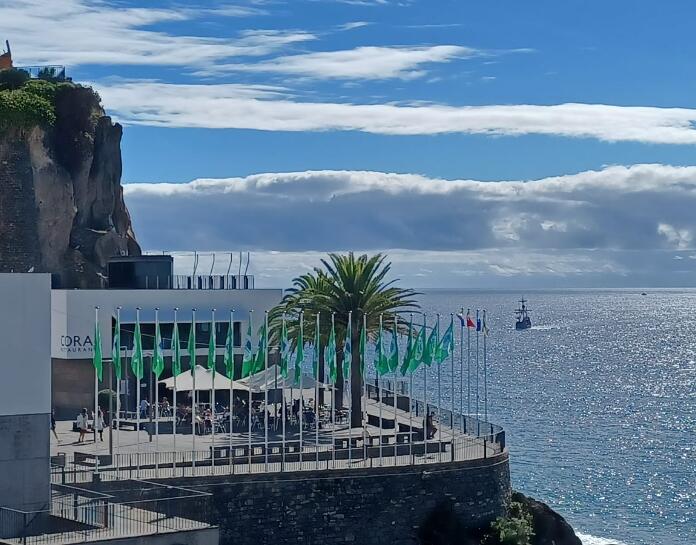 XV Seminário Regional Eco-Escolas