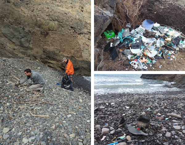 Programa Regional de Monitorização de Lixo em Praias da Madeira