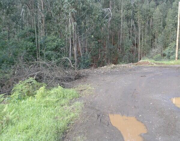 Inspeção ambiental 