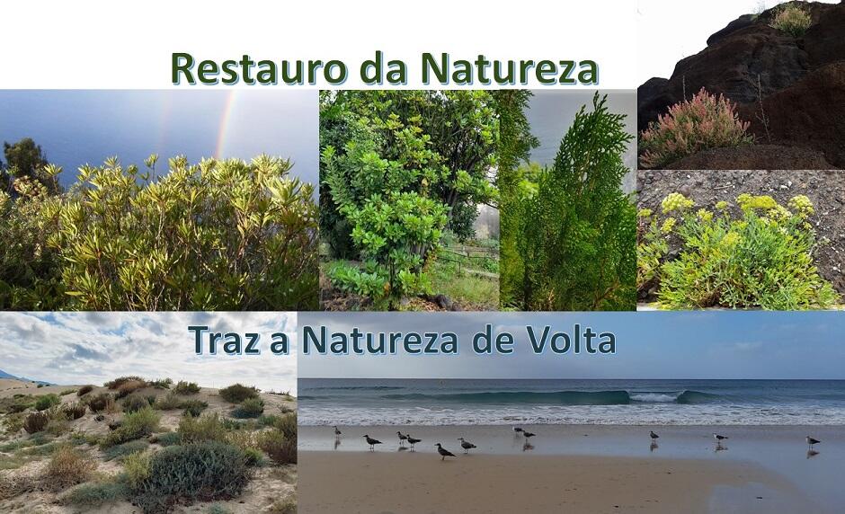 Restauro da Natureza 