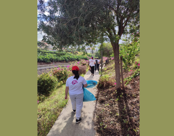 STEE associa-se à campanha "World Cleanup Day - Limpar o Funchal do Mar à Serra"