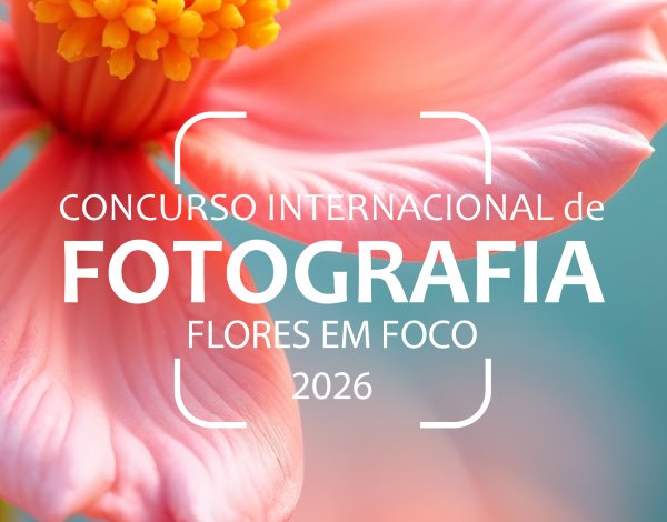 IV Concurso Internacional de Fotografia – Madeira