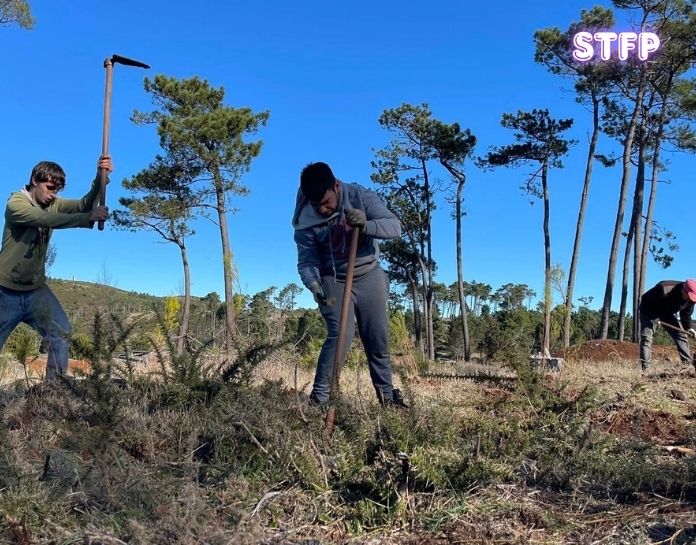 STFP_colaboração parque ecológico_26mar2026_1