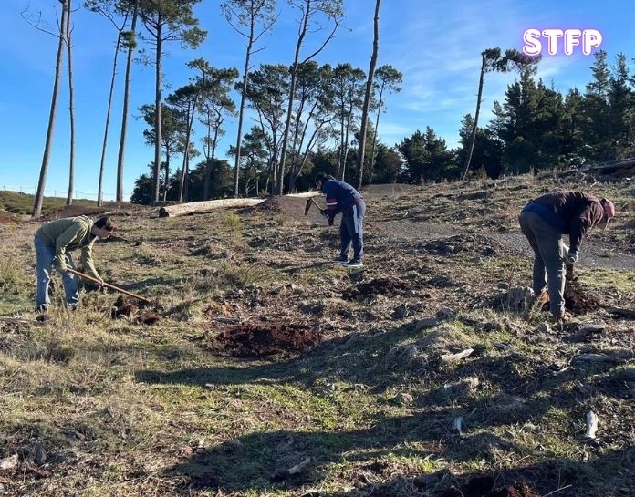 STFP_colaboração parque ecológico_26mar2026_2