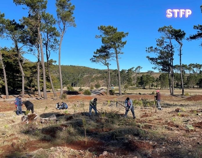 STFP_colaboração parque ecológico_26mar2026_3