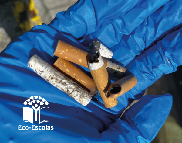 CENTRO-LIMPO DE NORTE A SUL: limpeza dos espaços exteriores e separação do lixo