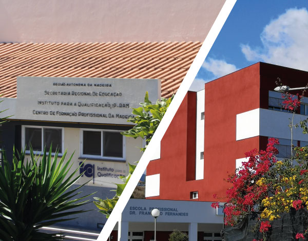 O Instituto para a Qualificação: o que fazemos, para quem e porquê?