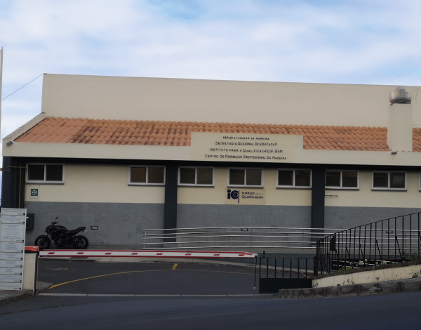 Instituto para a Qualificação gera emprego a mais de 90% dos alunos