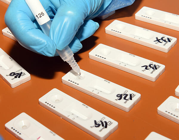 Foram realizados mais de 1 milhão e 845 mil testes rápidos de antigénio