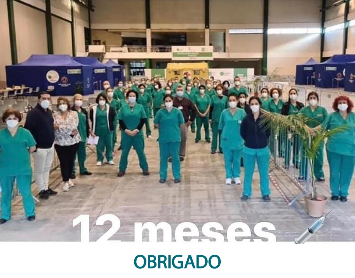 360 DIAS A VACINAR NO MADEIRA TECNOPOLO