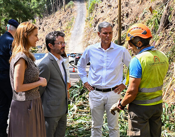 Governo Regional e órgãos autárquicos acompanham trabalhos de prevenção de incêndios na Estrada do Curral das Freiras