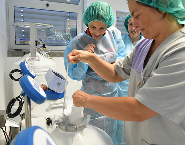 Secretária Regional visita o Centro de Medicina da Reprodução do SESARAM