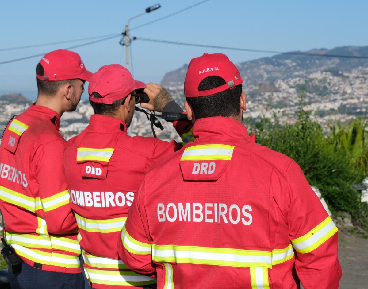 1503 Equipas de Combate a Incêndios Rurais já percorreram 95468 km