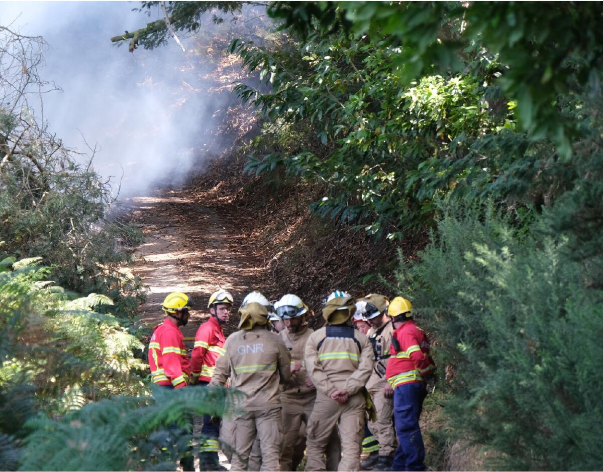 Agradecimentos: Incêndio