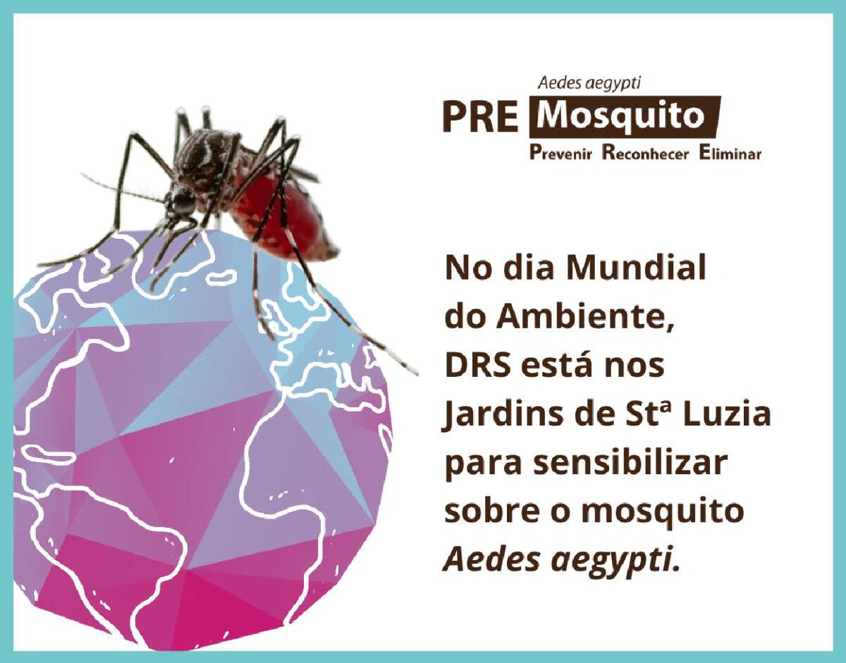 DRS reforça a importância ambiental na estratégia de controlo do mosquito Aedes aegypti