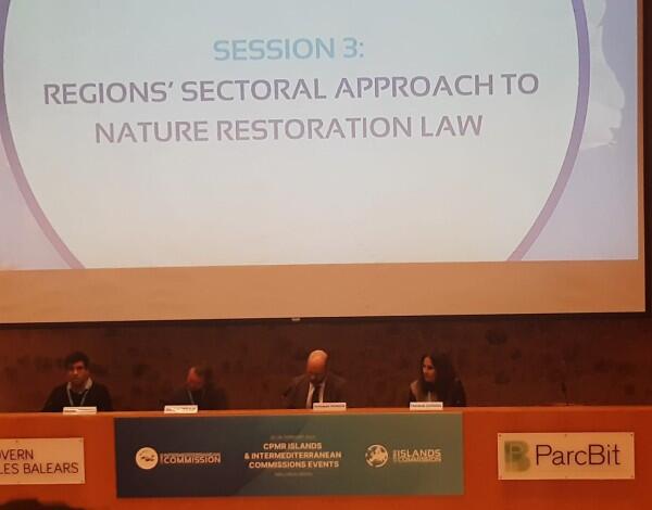 Fernanda Cardoso participa na AG da Comissão das Ilhas