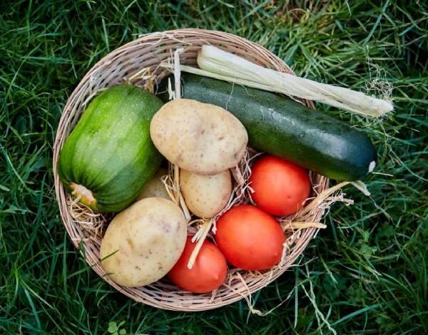 Diálogo Estratégico sobre Futuro da Agricultura da UE