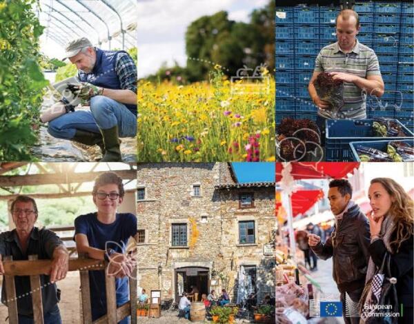 Aprovados primeiros planos estratégicos da nova PAC