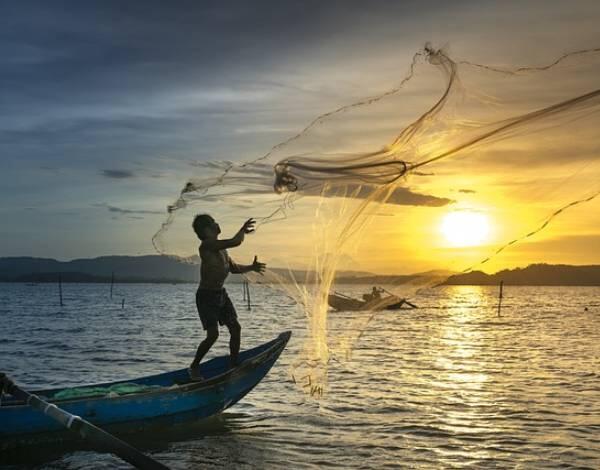 Possibilidades de pesca para 2024 no Atlântico, Kattegat e Skagerrak