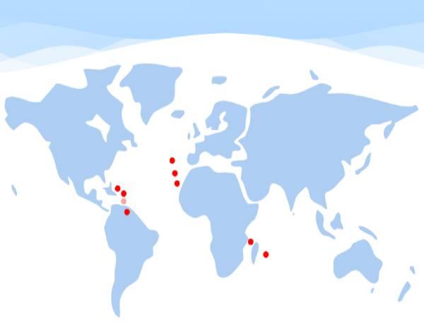 CPRUP mobiliza os deputados europeus para o futuro dos seus territórios