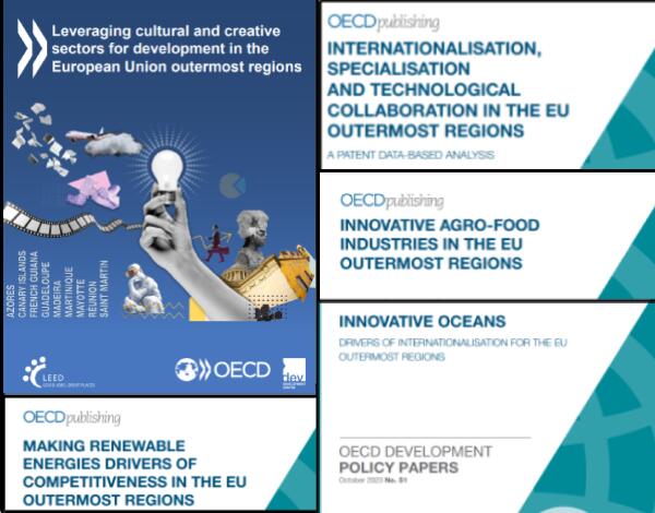 OCDE publica documentos sobre desenvolvimento RUP
