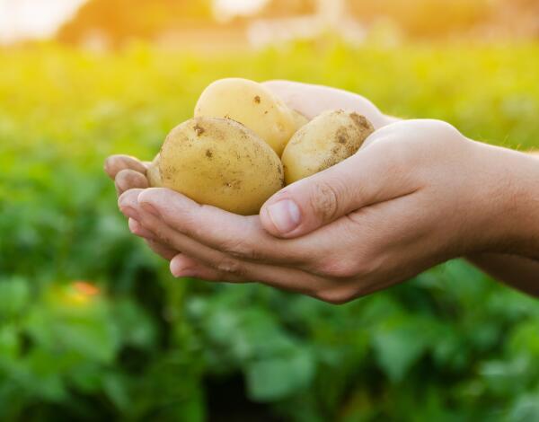 Inquérito sobre simplificação administrativa da PAC