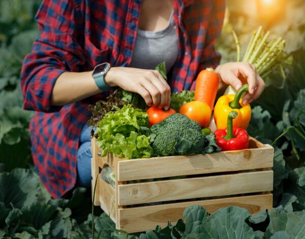 Agricultura biológica na UE 