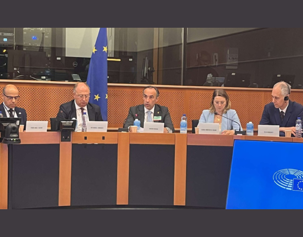 Rogério Gouveia defende coesão territorial em Bruxelas