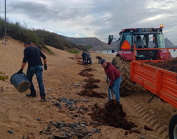Trabalhos de limpeza da praia do Porto Santo retomados