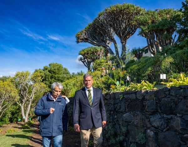 IFCN efetua estudo de Vitalidade para Preservar o Dragoeiro da Madeira