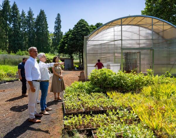 Madeira aposta em estufas inteligentes para reforçar produção florestal