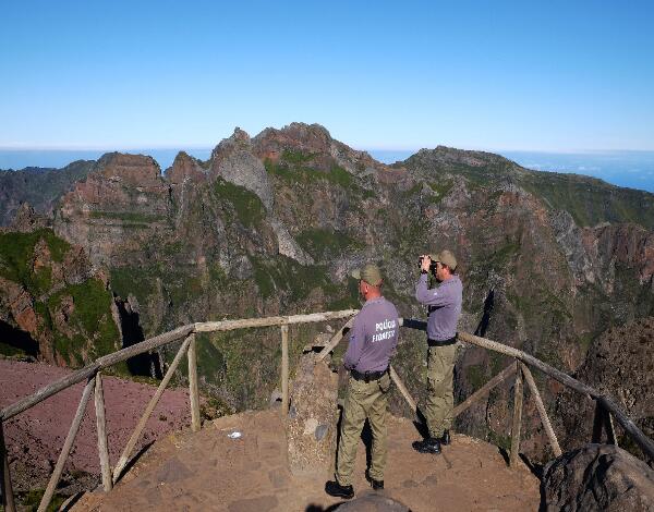 Espaço florestal vigiado 24 horas