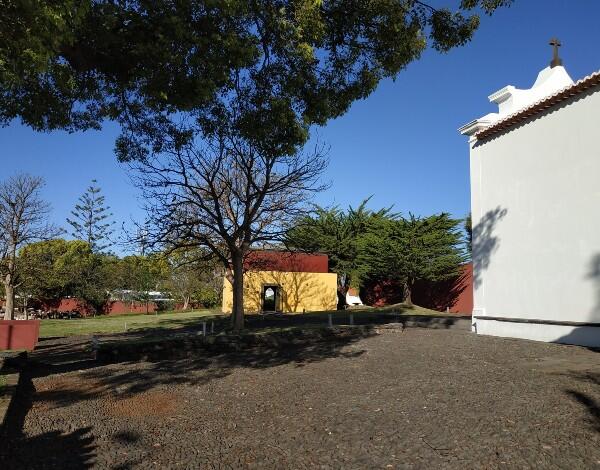 “Da Madeira ao Hawaii” regressa aos museus e espaços culturais do Governo Regional