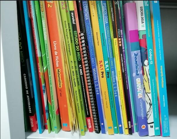 Direção Regional do Arquivo e Biblioteca reforça empréstimo de manuais escolares