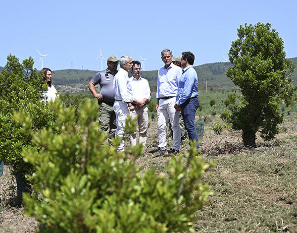 Recuperação ambiental no Paul da Serra reutiliza materiais da Barragem do Pico da Urze