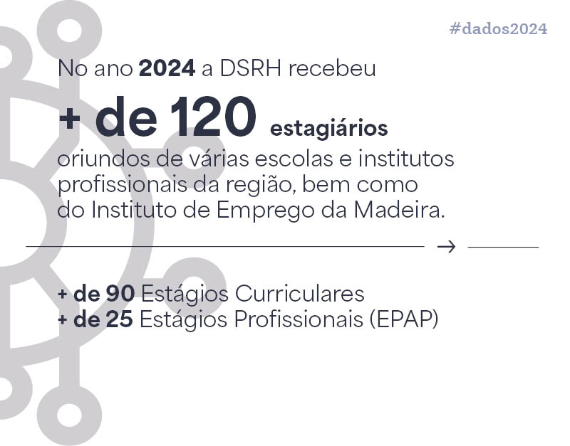 Dados_Estatisticos_2024_DSRH_Img3