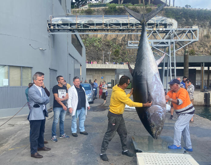 Primeiro atum rabilho do ano pesa 284 quilos