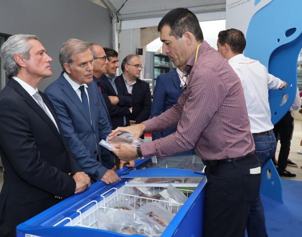 Peixe descarregado na lota valoriza 16 por cento nos primeiros seis meses de 2022