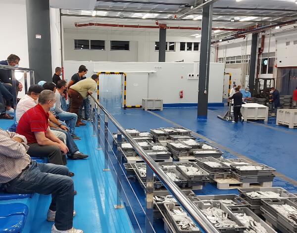 Pescado descarregado nas lotas da Região sobe 19% nos dois primeiros meses de 2022