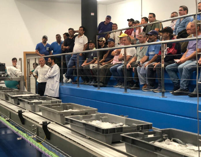 Casa cheia para o primeiro leilão com o novo sistema de gestão de lotas