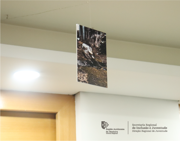 Exposição Jovens sem Riscos_5