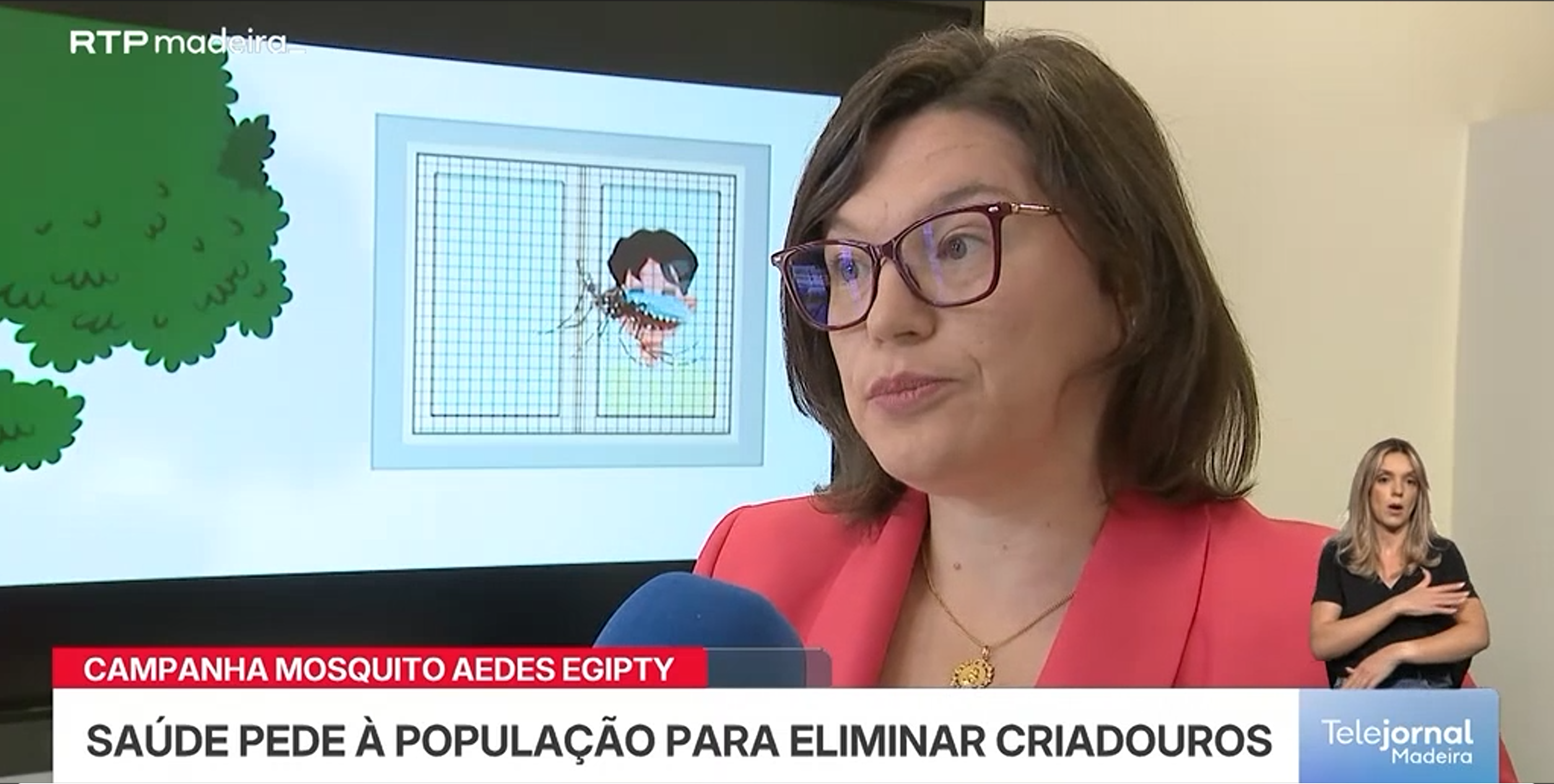 Direção Regional da Saúde reforça medidas de prevenção contra o mosquito Aedes aegypti