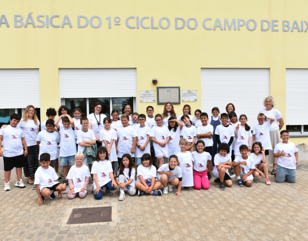 Direção Regional da Saúde reforça prevenção do mosquito Aedes aegypti e vigilância em saúde ambiental no Porto Santo