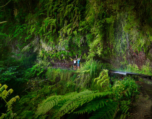 Festival da Natureza